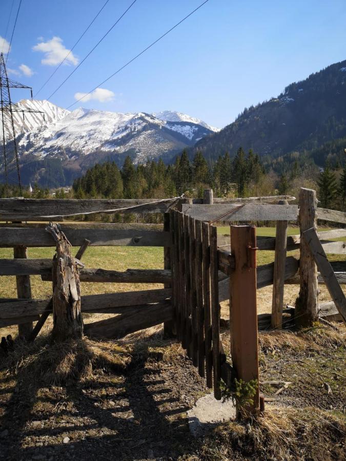 Ferienwohnungen Haus Almrausch Bichlbach Esterno foto